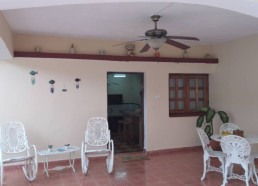 Terraza y patio
